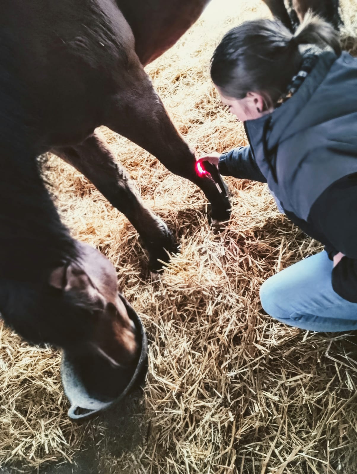 Laser- und Lichttherapie