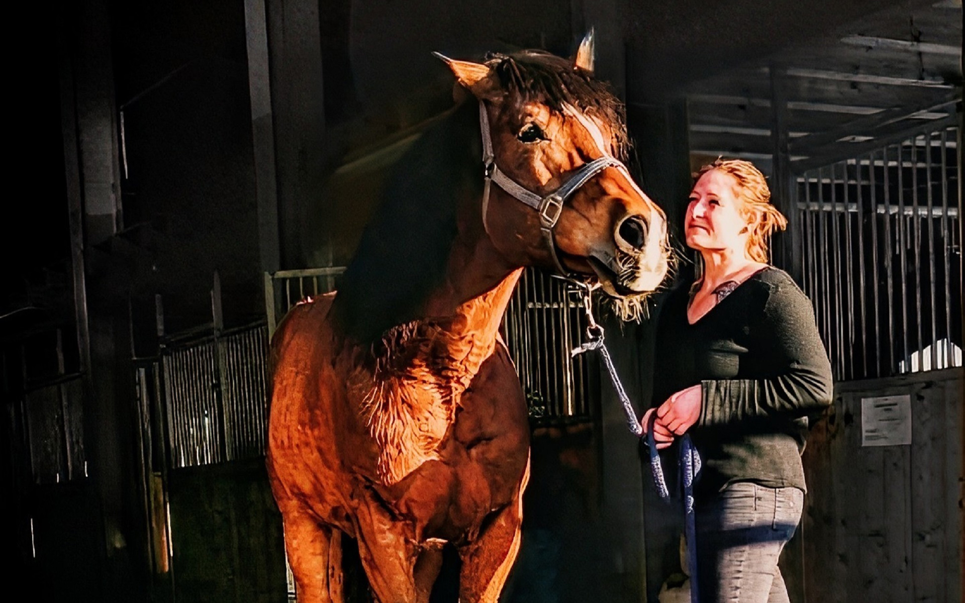 Ganzheitliche Pferdetherapie