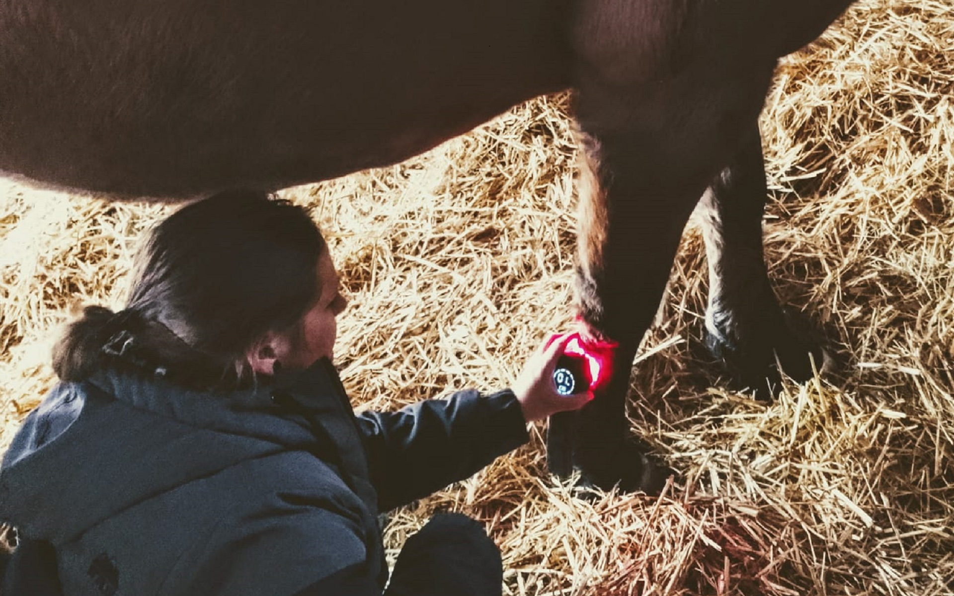 Sanfte Unterstützung