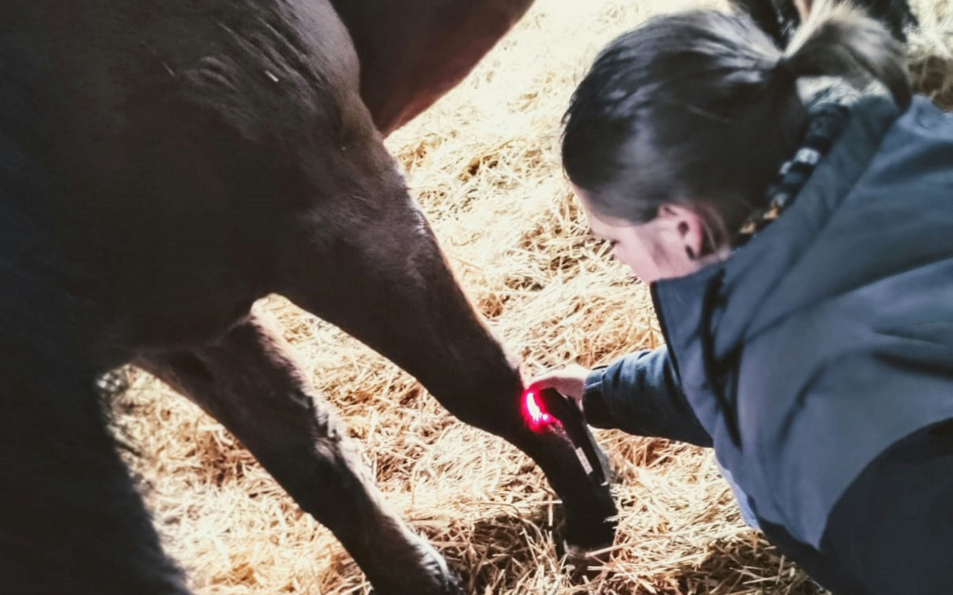 Präventive Gesundheitsvorsorge