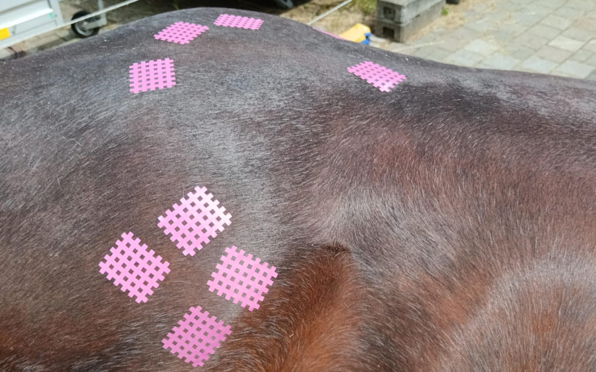 Vertrauen und Beziehung